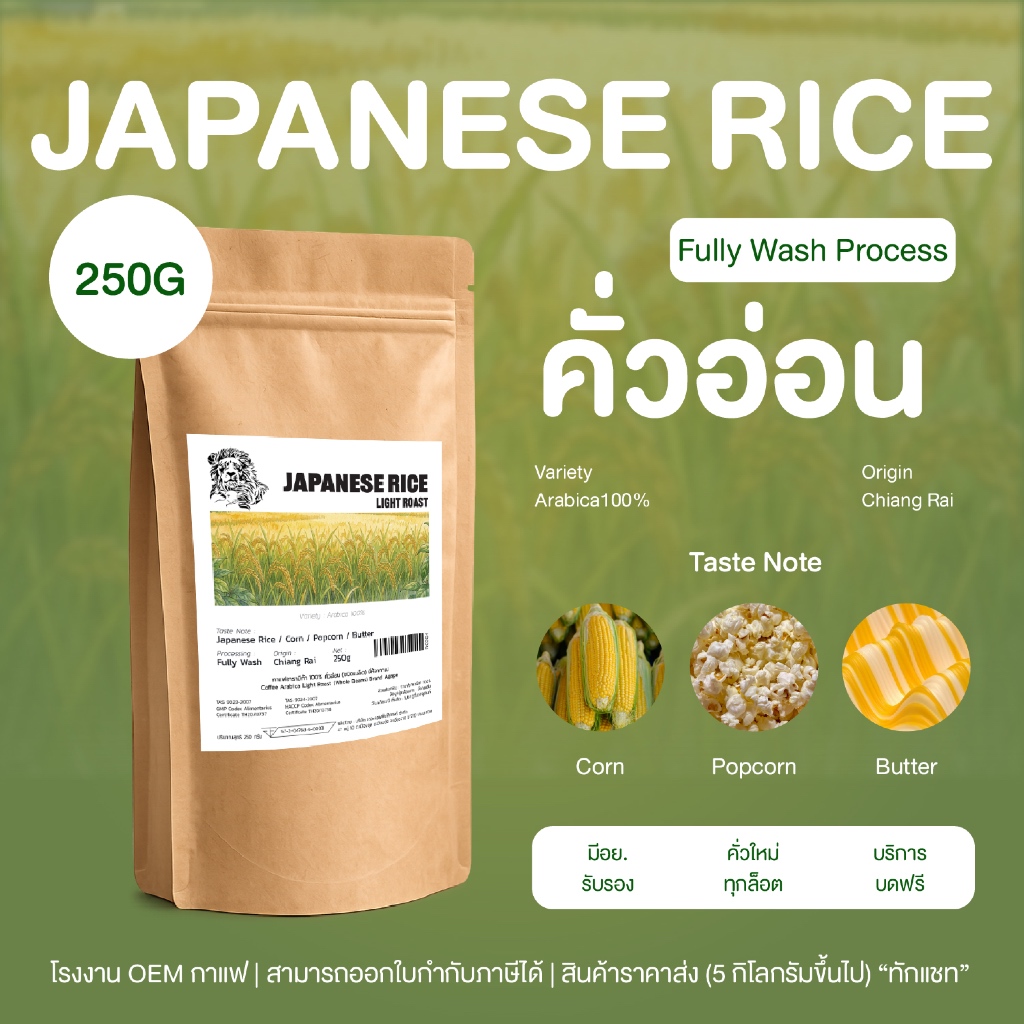 เมล็ดกาแฟคั่วอ่อน (Japanese Rice) 250g บดฟรี มี อย. เมล็ดอาราบิก้าไทยเชียงราย 100% คั่วใหม่