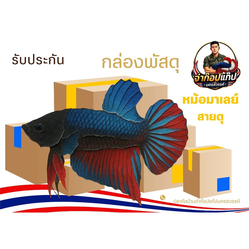 อุปกรณ์ตกแต่งตู้ปลา “ปลาหม้อมาเลย์สายดุ”สวยงาม1กล่อง