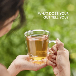 Dilmah ชาซอง ชาเขียว กลิ่นมะลิ | Jasmine Green Tea 1.5g x 20Tbags (80372)