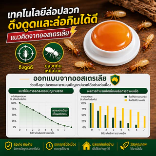 👍ติดเชื้อต่อกัน ตายยกรัง!🐜เหยื่อล่อปลวก ยากำจัดปลวกตายยกรัง 16 เม็ด/กล่อง ยากำจัดปลวก WavioSan แบรนด์แท้จากออสเตรเลีย