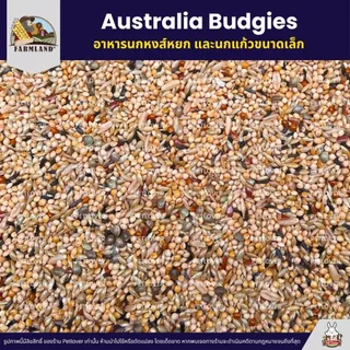 (5KG/10KG) Farmland Australia Budgies อาหารนกแก้ว นกหงส์หยก และนกแก้วขนาดเล็ก