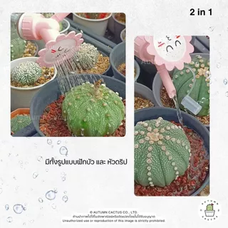 💦 หัวบัวรดน้ำ บัวรดน้ำ 2 รูปแบบ แบบฟักบัว แบบหัวดริป รดน้ำต้นไม้ ใช้กับขวดน้ำอัดลม 💦