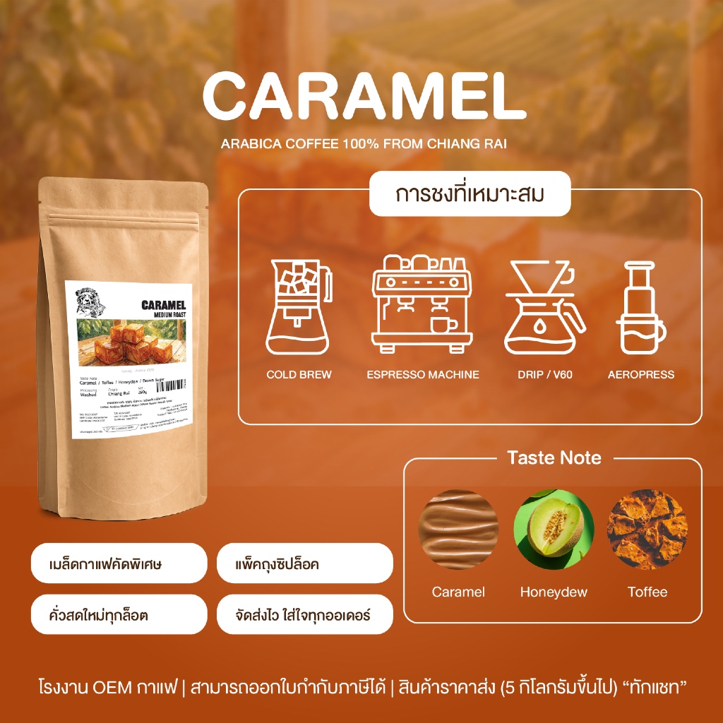 เมล็ดกาแฟคั่วกลาง อาราบิก้าไทย 100% (Caramel) เชียงราย รูปที่ 5