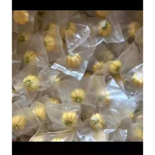[ZC] Homemade PetSnacks ฟักทองผสมนมแพะปั้นมือ ขนมลับฟันหนูแฮมสเตอร์ กระต่าย สุนัข แมวและสัตว์ฟันแทะ