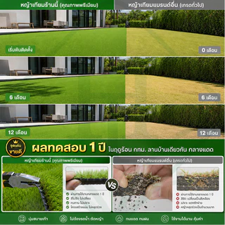 เหมาะสำหรับพื้นทุกประเภท หญ้าเทียม HT 1/2×1มคร หญ้าสูง/หนา6cm หญ้าเทียมเกรดเอ สำหรับตกแต่งสวน ตกแต่งบ้าน หญ้าปูพื้น