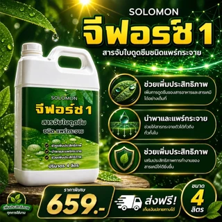 จีฟอร์ซวัน (12ลิตร) สารจับใบ ช่วยเพิ่มประสิทธิภาพปุ๋ยน้ำ ฮอร์โมน และยาป้องกันแมลง 4ลิตร 3แกลอน รวม12ลิตร