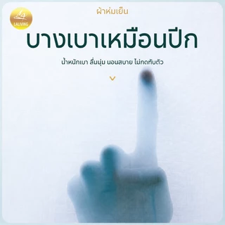 ผ้าห่มไหมเย็น ผ้าห่มเย็นเบา เย็นทันทีที่สัมผัส นุ่มลื่น ระบายอากาศได้ดี 5/6/ 6.5 ฟุต BLANKET