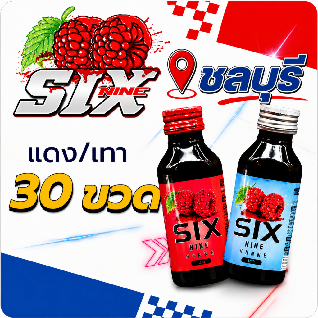30 ขวด six nine ไซรัป SIX-NINE น้ำหวานเข้มข้น กลิ่นหอมหวานแท้ มี2สูตร ฝาเทาและฝาแดง
