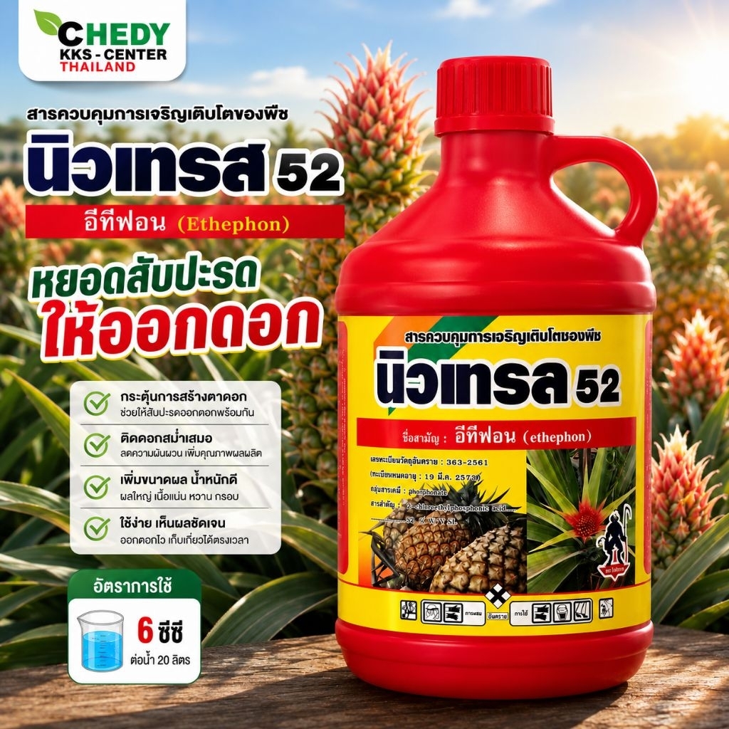 นิวเทรล 52 ขนาด 1 ลิตร 3 ควบคุมการเจริญเติบโตของพืชทำให้สับปะรดออกดอก