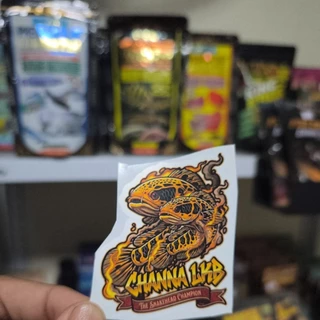 สติกเกอร์ติดตู้ปลา Channa LKB ลายปลาช่อนสวยงาม เกรดพรีเมี่ยม กันน้ำ กันแดด (Snakehead Fish Decals)ะ