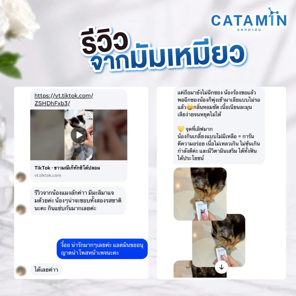 CATAMIN วิตามินแมวเลีย สูตร บำรุงขนและผิวหนัง 1 กล่อง(30ซอง) thumbnail 6