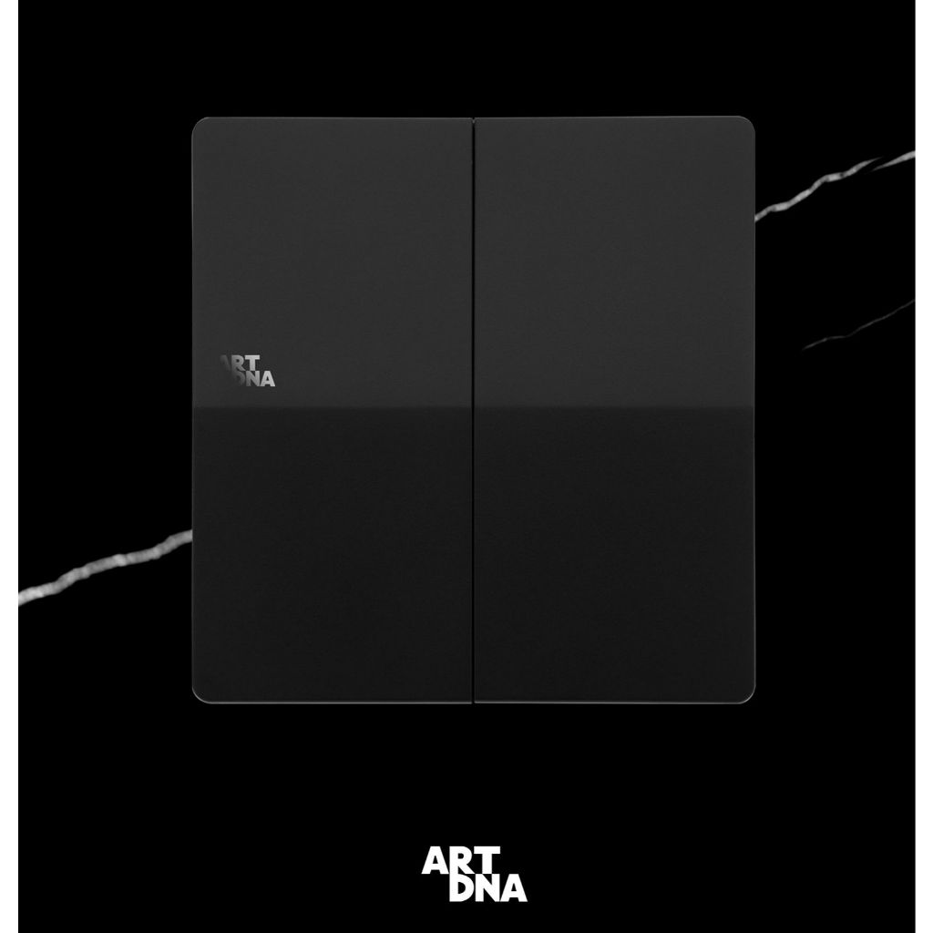 (Clearance Sale) สวิตซ์ไฟ 2 ช่อง 1 ทาง ART DNA A61-K02A-B ดำ 250V