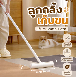 ที่กลิ้งเก็บขน ไม้กลิ้ง ลูกกลิ้งเก็บขน ลูกกลิ้งเก็บฝุ่น ที่กลิ้งกำจัดฝุ่น รีฟิลลูกกลิ้ง ลูกกลิ้ง ทำความสะอาด