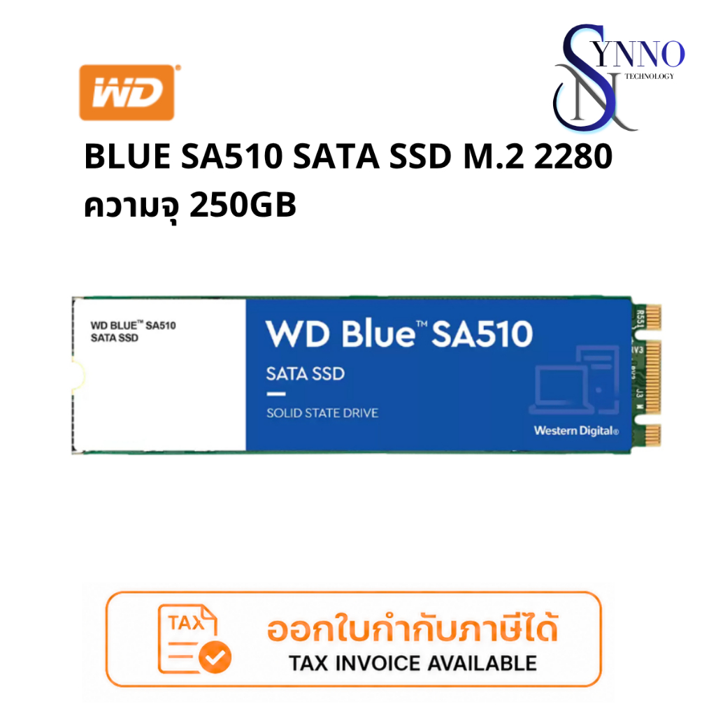 เอสเอสดี SSD WD BLUE SA510 - SATA M.2 2280 (WDS250G3B0B) ความจุ 250 GB