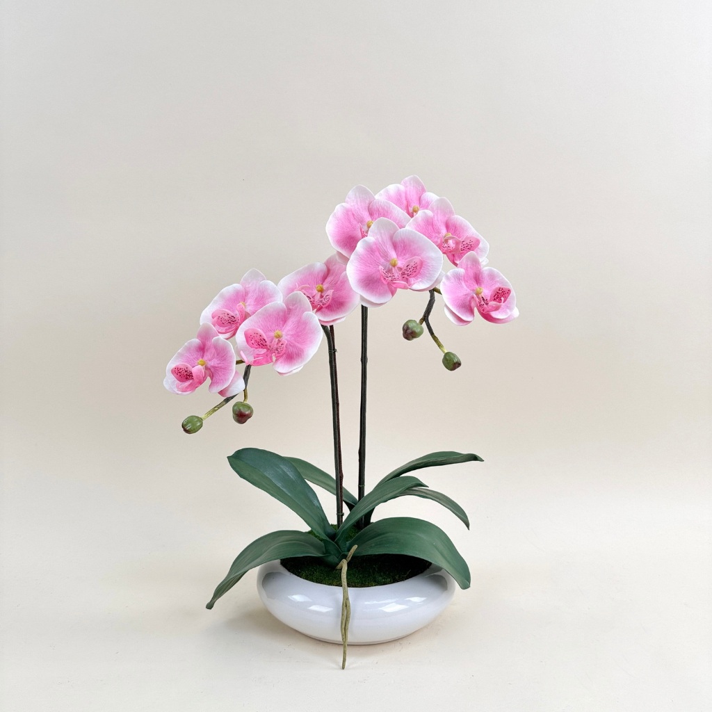 OrientalFineArt  ดอกกล้วยไม้ประดิษฐ์ Phalaenopsis orchid plant pot arrangement