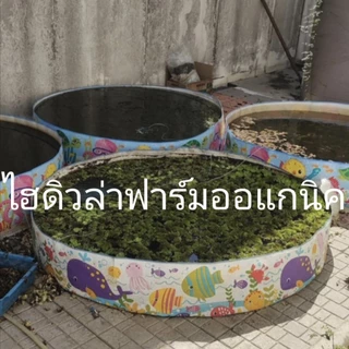สาหร่ายหางกระรอก ฟาร์มออแกนิค 300-500กรัม