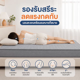 ที่นอนยางพาราแท้ 100% เพื่อสุขภาพ กระจายแรงกด ลดอาการปวดหลัง 3.5ฟุต 5ฟุต 6ฟุต ห้องนอน ห้องเช่า พร้อมส่ง
