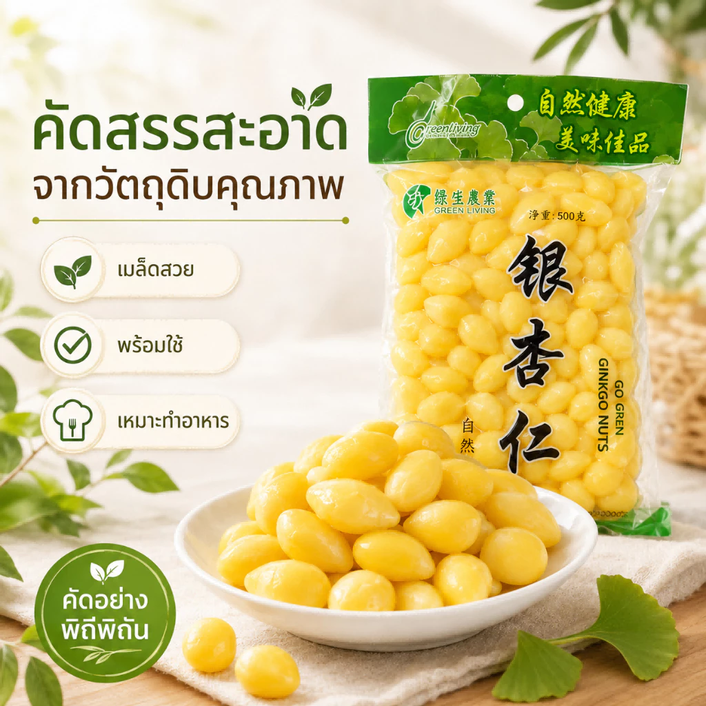 แปะก๊วยสด เม็ดใหญ่ ไม่ดำ | ไม่ต้องแทงไส้ ไม่ขมแม้ไม่ออก | คัดเกรด บำรุงสมอง Ginkgo Nuts