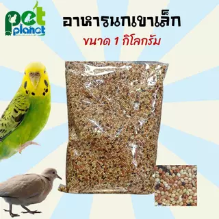 อาหารนก ขนมนก อาหารนกเขาเล็ก อาหารเขาเล็ก อาหารนกหงส์หยก มิลเลต3สี อาหารนกเขาชวา ธัญพืชสำหรับ นก ขนาด 1 กิโลกรัม