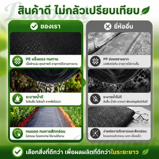 พลาสติกคลุมดิน ผ้าคลุมดินกันหญ้า PE หนาพิเศษ คลุมวัชพืช ระบายน้ำได้ ทนแดด อายุการใช้งาน 7-10 ปี 50M 100M