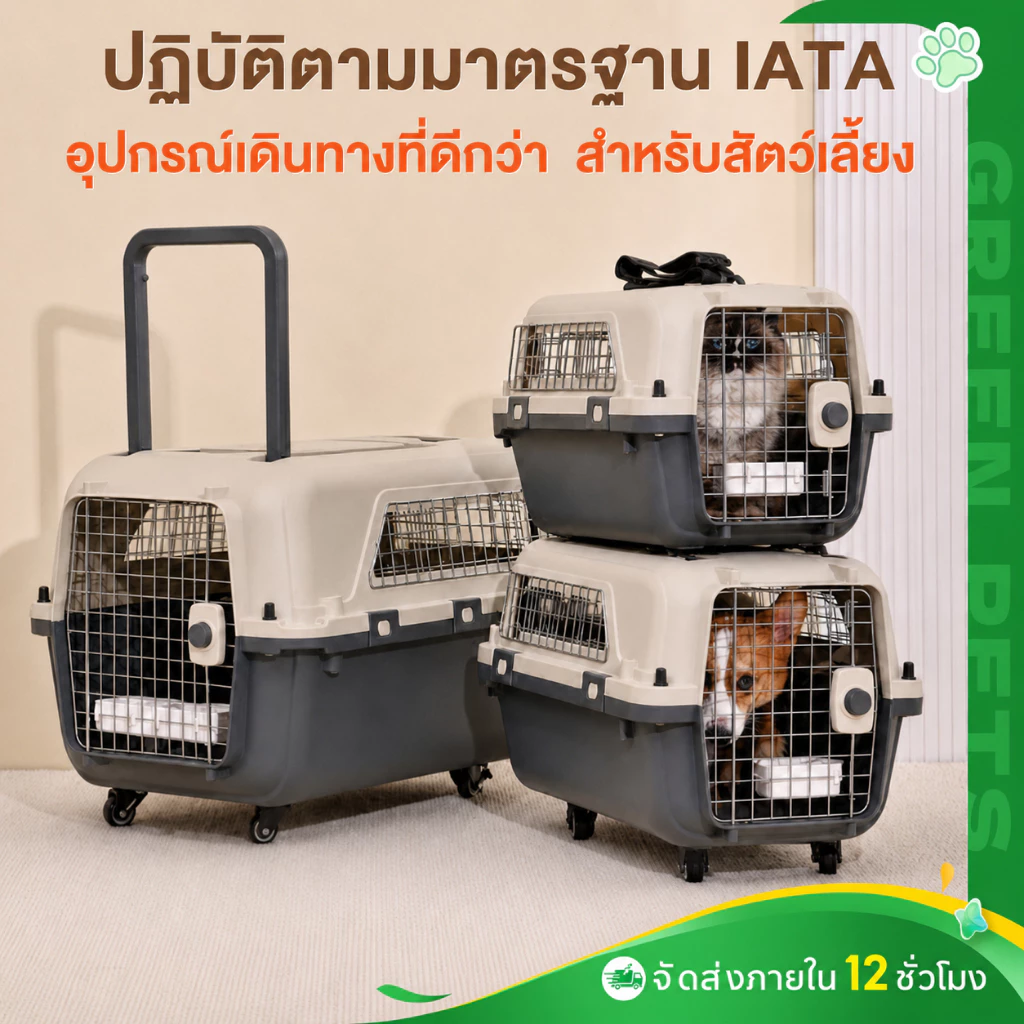 กล่องเดินทางสัตว์เลี้ยง กรงหิ้วแมว กรงเดินทาง กล่องใส่สัตว์เลี้ยง กรงเดินทาง กล่องใส่สัตว์เลี้ยง