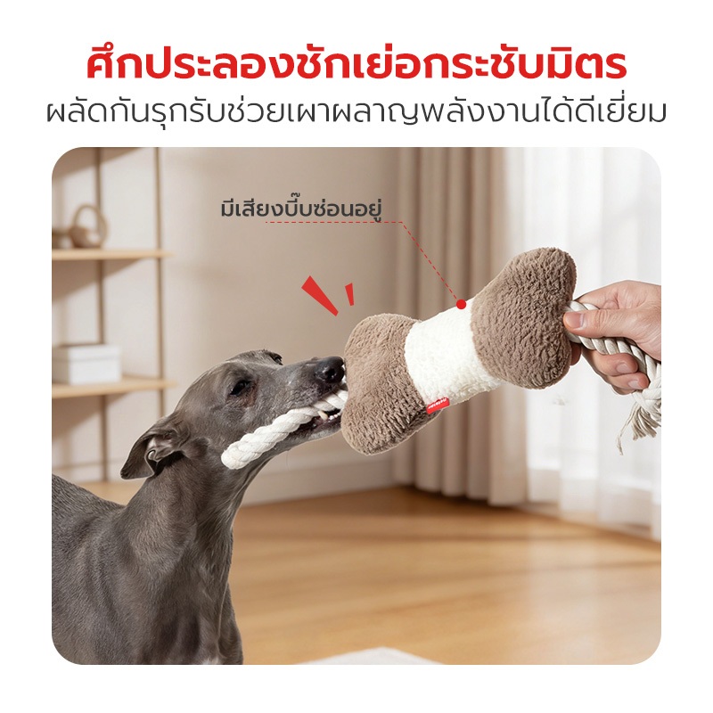 Petstar حبل قطني لعض الكلاب وتنظيف الأسنان — صورة 5