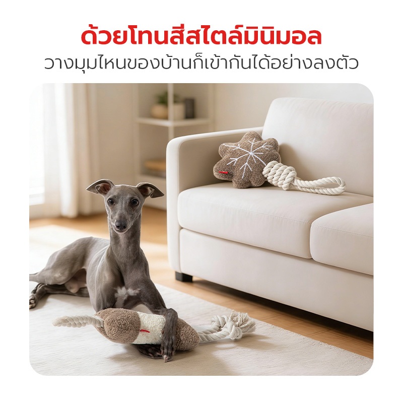 Petstar حبل قطني لعض الكلاب وتنظيف الأسنان — صورة 7