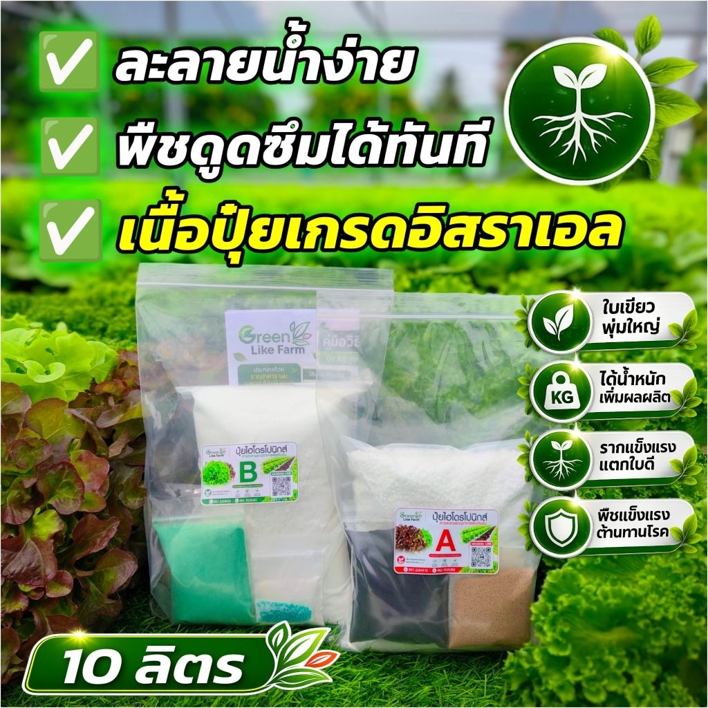 ปุ๋ยผักไฮโดรโปนิกส์ ปุ๋ย AB ผักสลัด เกรดเวสโก้ ชนิดเกล็ดผงขนาด 10 ลิตร พร้อมคู่มือการใช้งาน