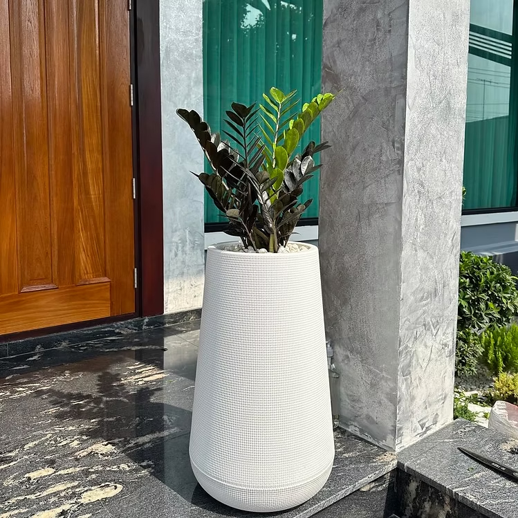 [ สินค้าพร้อมจัดส่ง ] Black ZZ Plant with polymer planter ต้นไม้พร้อมกระถาง