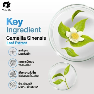 Farger ผงฟอกสีผม Professional ไฮโดรเจน Developer Violet Peroxide ผงฟอกม่วง ผงฟอกน้ำเงิน ฟอกผม ยกสีผม ของแท้