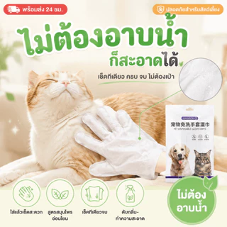 ถุงมืออาบน้ำแมว/ถุงมืออาบน้ําสุนัข 6ชิ้น/ห่อ ทิชชู่เปียกเช็ดตัวสัตว์เลี้ยง แบบใช้แล้วทิ้ง ทำความสะอาด สุนัข แมว ช่วยAnti