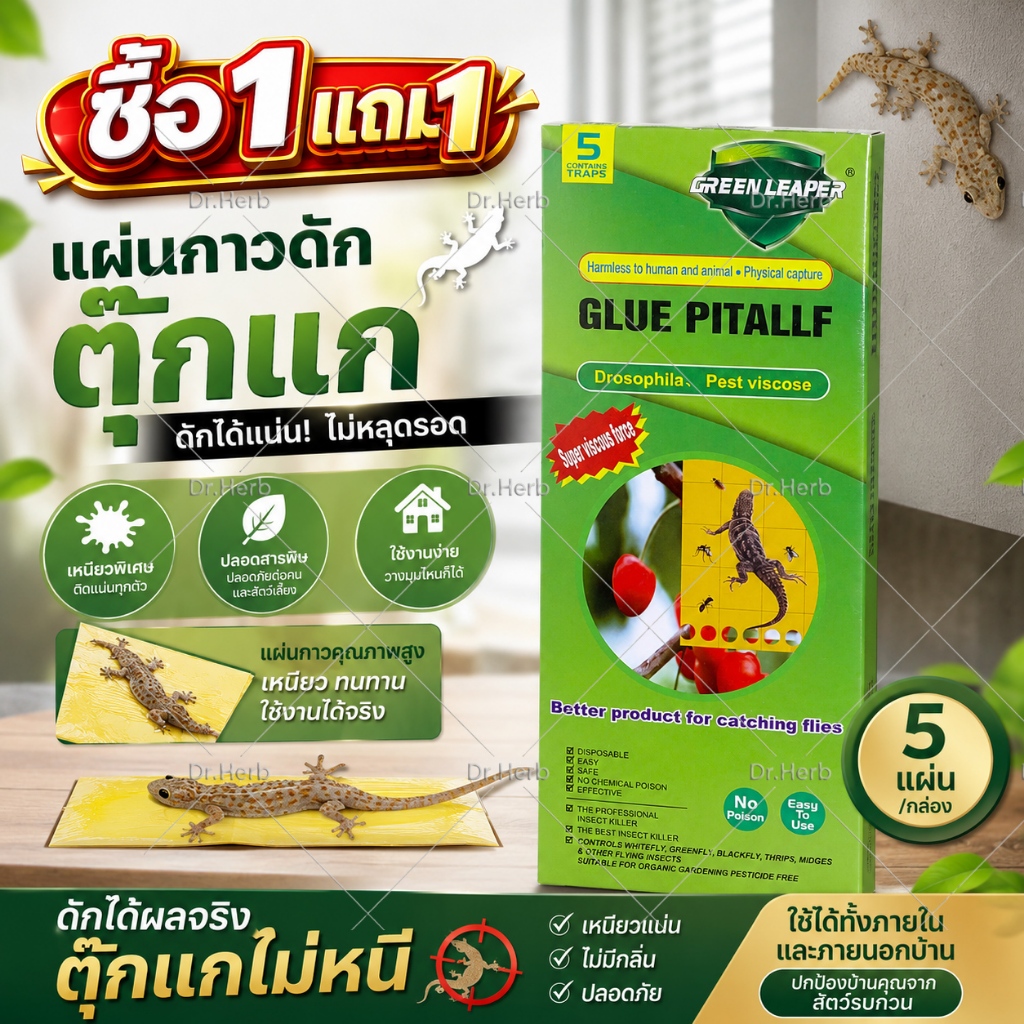 🔥ซื้อ1แถม1🔥🦎ติดแน่น หนีไม่รอด!🦎แผ่นกาวดักจิ้งจก กำจัดจิ้งจก 1 กล่อง 5 แผ่น（ ยาฆ่าจิ้งจก ไล่จิ้งจก กับดักจิ้งจก ยาไล่ตุ๊ก