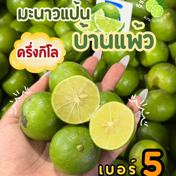 มะนาวแป้นเบอร์5 (ไซส์กลาง) ครึ่งกิโล/1กิโล/2กิโล