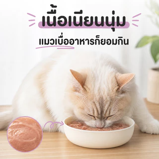 12/8 ซอง อาหารเปียกแมวเนื้อสด แพ็คละ 85 กรัม มี 5 รสชาติ บำรุงขน เติมน้ำ สำหรับลูกแมวและแมวโตทุกวัย