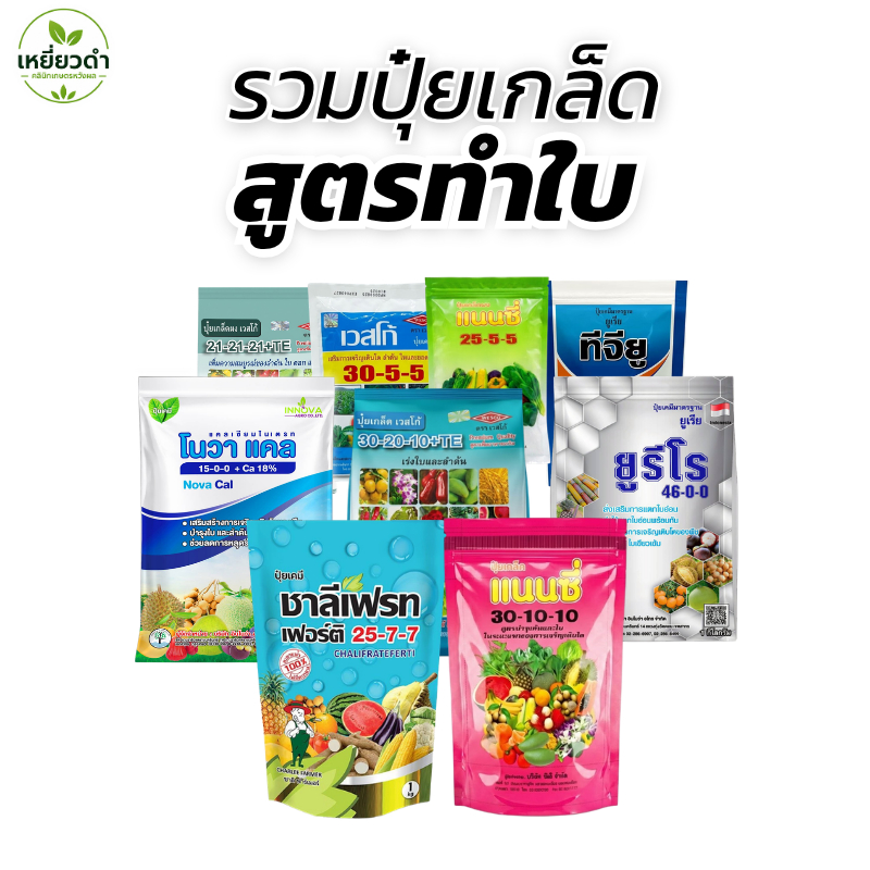 ปุ๋ยเกล็ดสูตรทำใบ แนนซี่ ชาลีเฟรช เวสโก้ ยูเรีย 46-0-0,30-10-10,30-5-5,25-7-7 และ 15-0-0