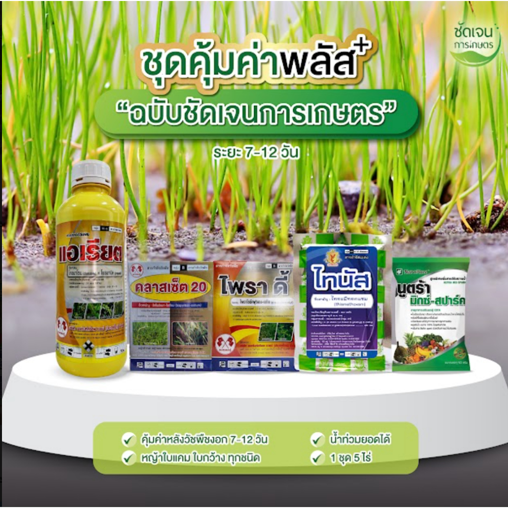 ชุดยาคุ้มค่าพลัส+ไพราดี้ (สูตร2) ในนาข้าวระยะ7-12 วัน ได้ใบแคบใบกว้าง ครอบคลุมในนาข้าว