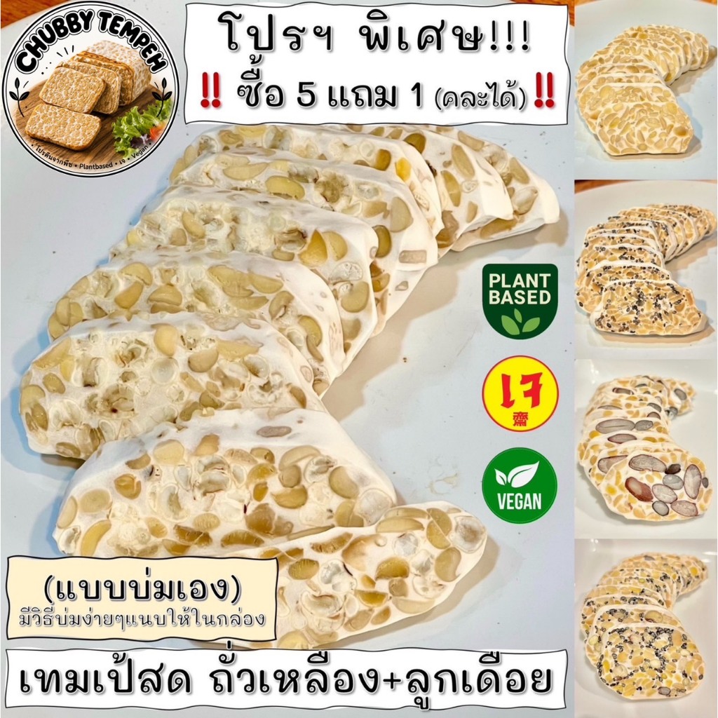 เทมเป้สด ถั่วเหลือง+ลูกเดือย (5แถม1) 100g. (แบบบ่มเอง) โปรตีนจากพืช PlantBased เจ Vegan มังสวิรัติ Tempeh