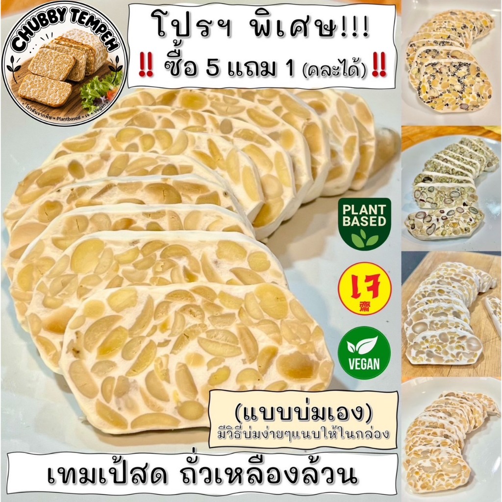 เทมเป้สด ถั่วเหลืองล้วน (5แถม1) 100g. (แบบบ่มเอง) โปรตีนจากพืช PlantBased เจ Vegan มังสวิรัติ Tempeh