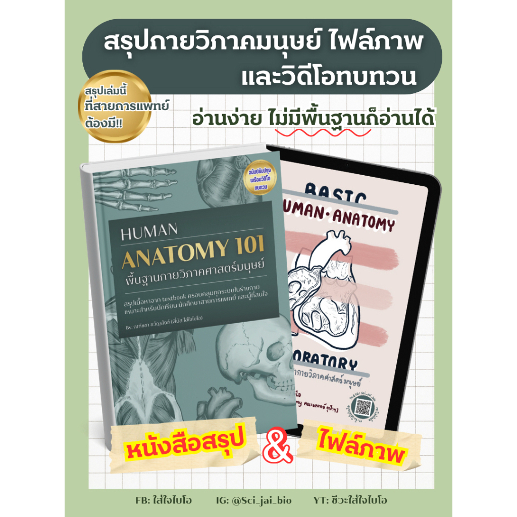 01 [set คู่] สุดคุ้ม! ไฟล์ภาพ anatomy laboratory และหนังสือ basic human anatomy