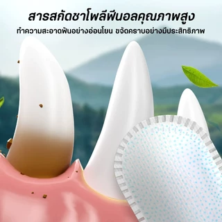 PetStern 50 ชิ้น แผ่นเช็ดหินปูนสัตว์เลี้ยง แผ่นขัดฟันสุนัขและแมว ลดคราบหินปูน ทำความสะอาดฟัน กำจัดกลิ่นปาก