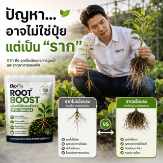 BioFix Root Boost จุลินทรีย์ไมคอร์ไรซ่า (Mycorrhiza) สูตรเข้มข้น เร่งราก ฟื้นต้น ดูดซึมดี ไมคอร์ไรซ่า 100 g.