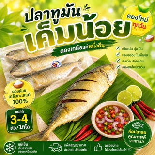 ปลาทูมันหอมเค็มน้อย 3-5ตัวโล มีไซร้ใหญ่ๆ เลือกไซร้ได้ เนื้อเเน่นทำสดใหม่ ไม่ตุไม่เละ ทำใหม่ทุกวัน เค็มน้อยดองเกลือ1คืน