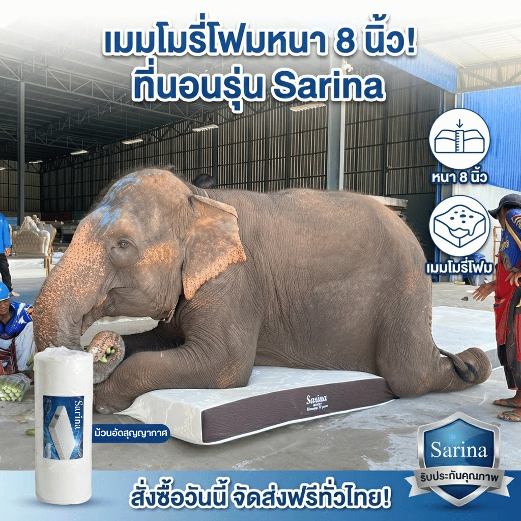 Sarina ที่นอนเมมโมรี่โฟม หนา 8 นิ้ว 6 ฟุต
