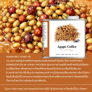 เมล็ดกาแฟแม่จันใต้ Specialty คั่วอ่อน Anaerobic Honey อาราบิก้าเชียงราย 100% บรรจุ 200g