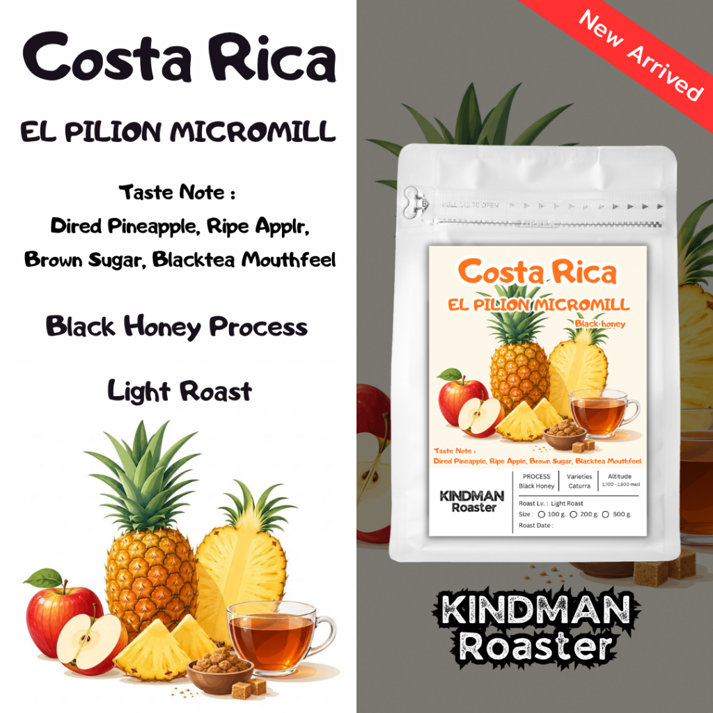 เมล็ดกาแฟ Costa Rica El Pilion Micromill Black Honey by KINDMAN Roaster