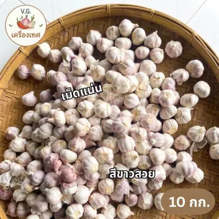 กระเทียมปิงปอง 5 ซม. ยกกระสอบ 9.5 - 10 กก. คุณภาพดี กลีบแน่น
