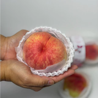 🍑 Premium Fukushima Peach - ลูกพีชญี่ปุ่นแท้ นำเข้าจากเมืองฟุกุชิมะ