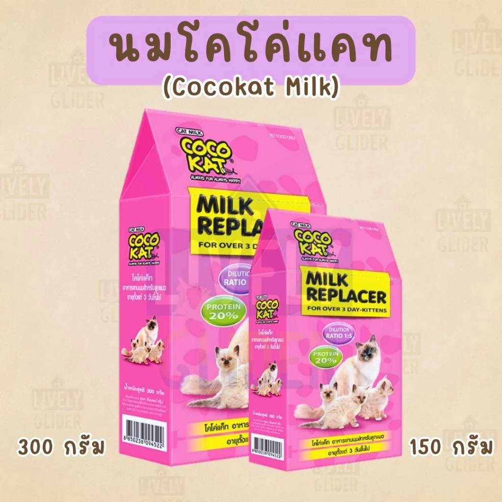 นมโคโค่แค็ท (Cocokat) นมแอคซายน์ นมทดแทนชูการ์ไกลเดอร์ (AG-Science)