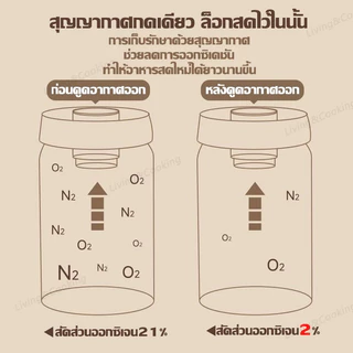 กระปุกเก็บเมล็ดกาแฟสูญญากาศ สแตนเลส 316 ซีลสูญญากาศด้วยปุ่มเดียว กันความชื้น เก็บชา เมล็ดกาแฟ ธัญพืช 500/900/1200ml