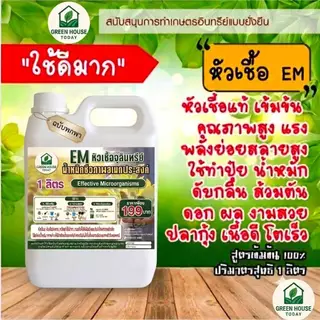 หัวเชื้อ EM ตรา green_houseขนาด 5 ลิตร ต้นตำรับ จากญี่ปุ่น สูตรตั้งต้น ขยายได้ ส้วมตัน น้ำเสีย จุลินทรีย์ หัวเชื้อทำปุ๋ย